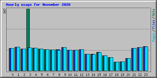 Hourly usage for November 2020