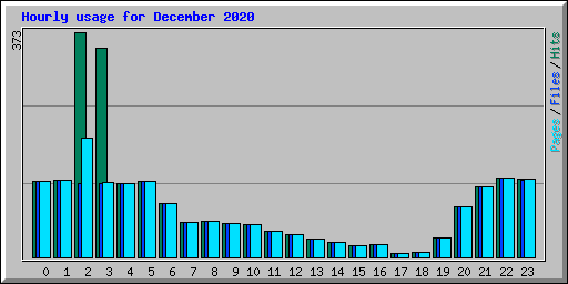 Hourly usage for December 2020