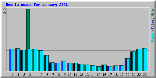 Hourly usage for January 2021