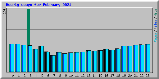 Hourly usage for February 2021