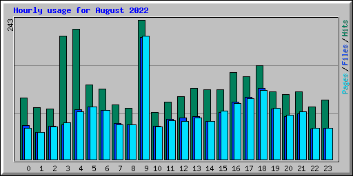 Hourly usage for August 2022