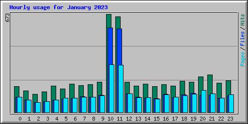Hourly usage for January 2023