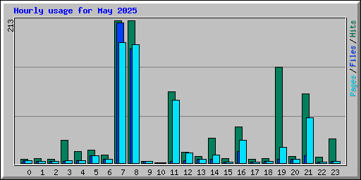 Hourly usage for May 2025