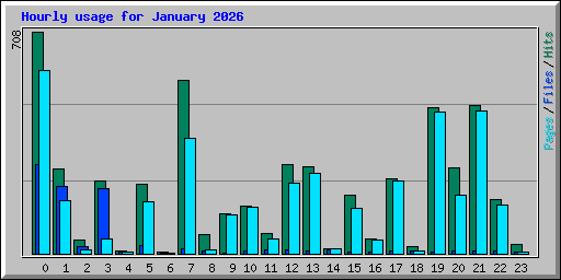 Hourly usage for January 2026