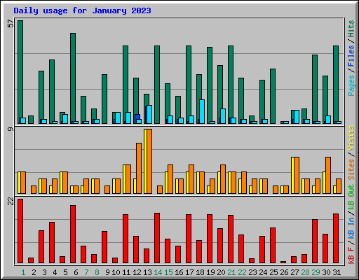 Daily usage for January 2023