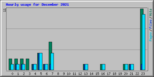 Hourly usage for December 2021