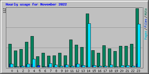 Hourly usage for November 2022