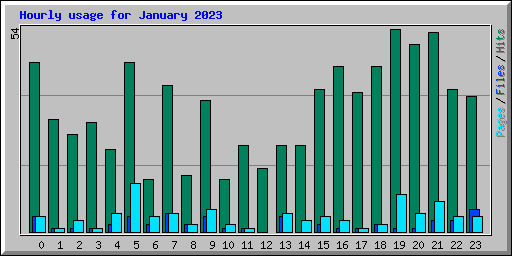 Hourly usage for January 2023