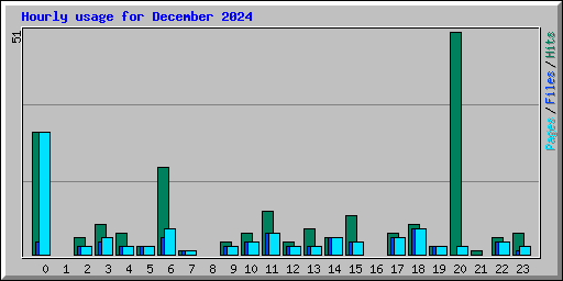 Hourly usage for December 2024