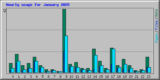 Hourly usage for January 2025