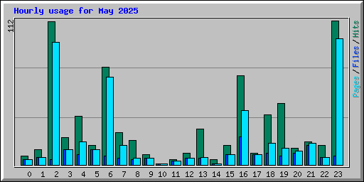 Hourly usage for May 2025
