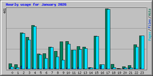 Hourly usage for January 2026