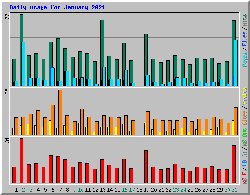 Daily usage for January 2021