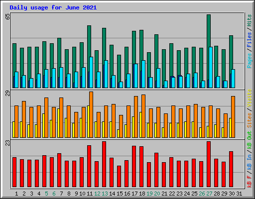 Daily usage for June 2021