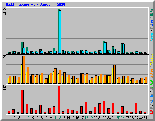 Daily usage for January 2025