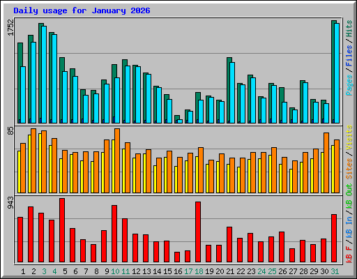 Daily usage for January 2026