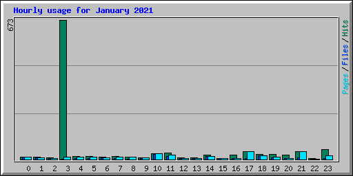 Hourly usage for January 2021