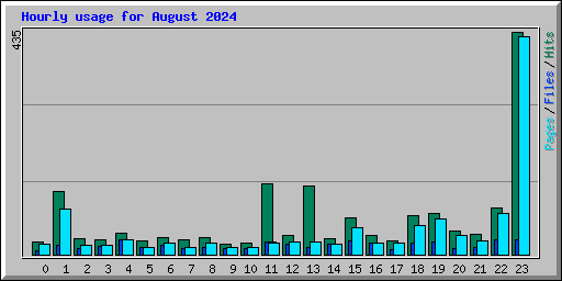 Hourly usage for August 2024