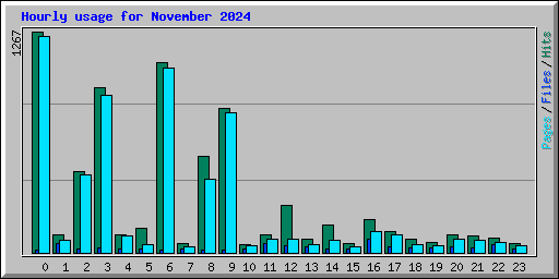 Hourly usage for November 2024