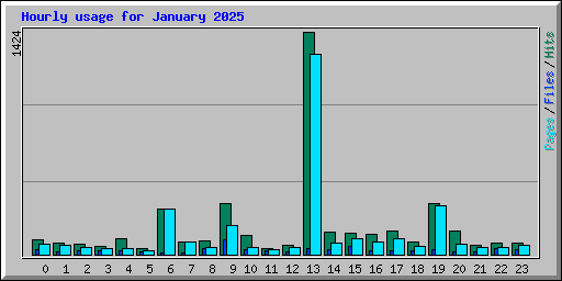 Hourly usage for January 2025