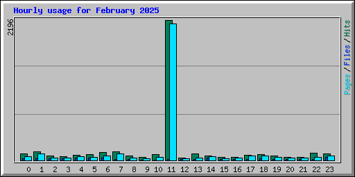 Hourly usage for February 2025