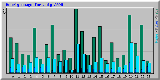 Hourly usage for July 2025